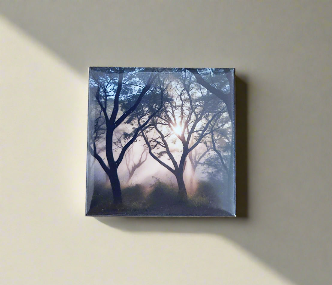 Set of 6 Personalized 2"x2" Magnets – Turn memories into keepsakes you can see every day